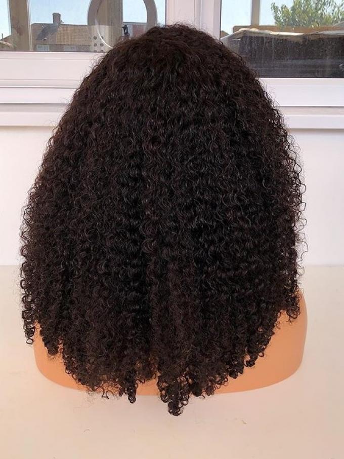 Beautiful Deep Curly Melting Lace Frontal Wig-LW157