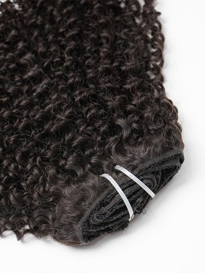 NATURAL CURLY CLIP INS FOR (3A -3B) Natural Hair