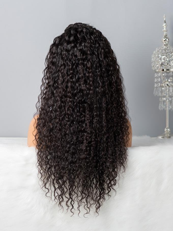 Invisible HD skin melt swiss lace curly human hair full lace wig