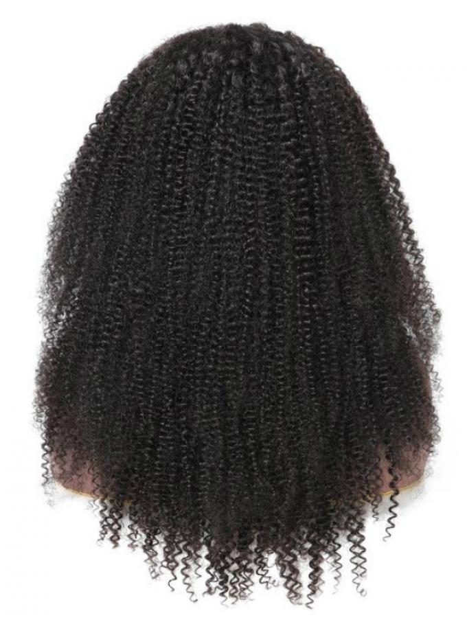 22 inches kinky curly indian remy lace front human hair wig - LFC007