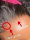 New 5×5 Invisible HD lace Human Hair Closure Short Curly Bob Wig-SWC019
